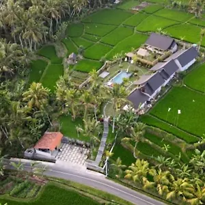 Coconut , Ubud Indonesien